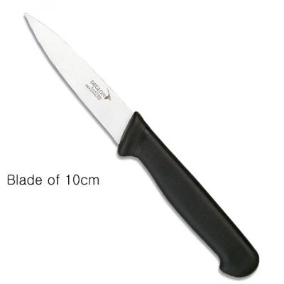 Paring Knife - 100mm