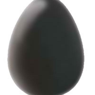 Egg Mould-740x490mm