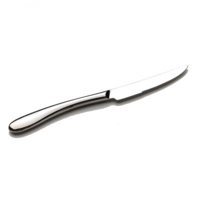 [clearance sale] OVATION Steak Knife - 243mm