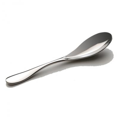 [clearance sale] OVATION Ice Tea Spoon - 189mm